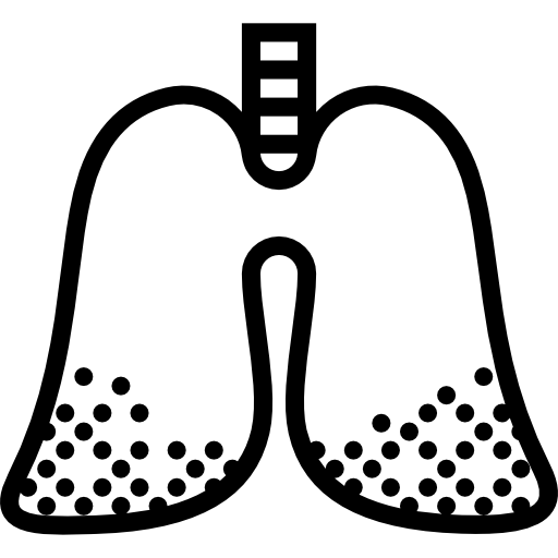 Lungs Basic Miscellany Lineal icon