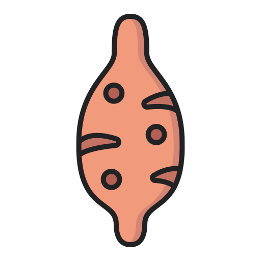 과일 무료 아이콘