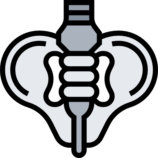Pelvis free icon Pelvis free icon