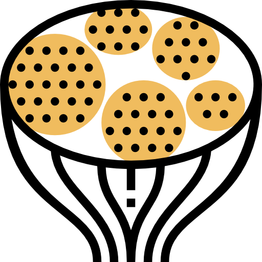 Мышцы бесплатно иконка