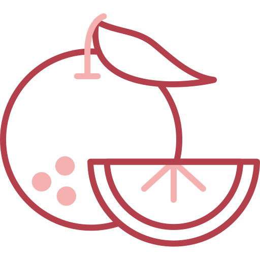 naranja icono gratis