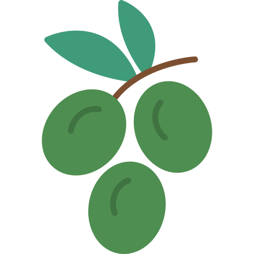 aceituna icono gratis