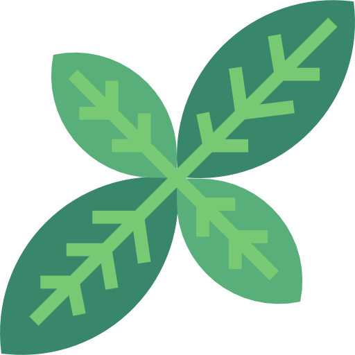 Basil free icon Basil free icon