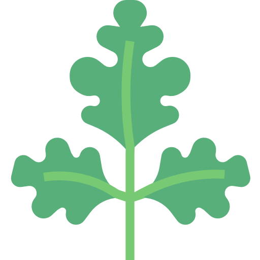 Parsley free icon Parsley free icon