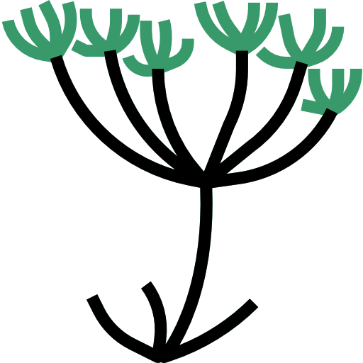 alcaravea icono gratis