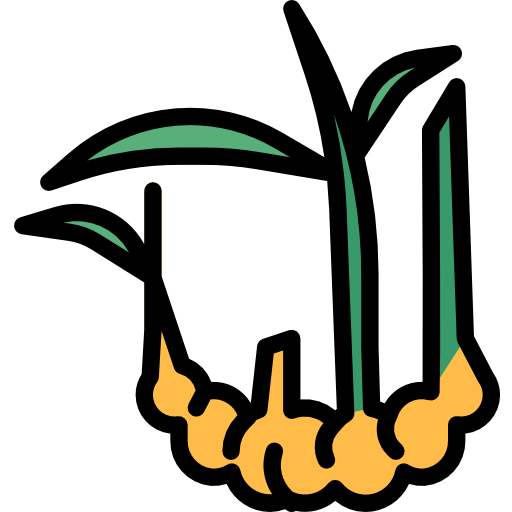 Имбирь бесплатно иконка