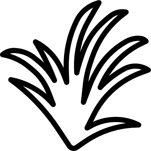 zitronengras kostenlos Icon zitronengras kostenlos Icon