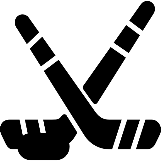 Hockey Basic Miscellany Fill icon