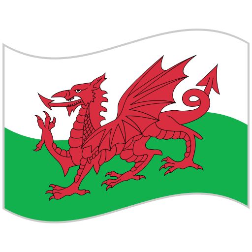 Flag free icon Flag free icon