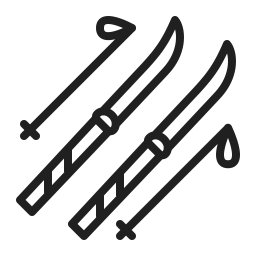Sport free icon