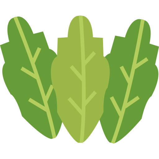 kopfsalat kostenlos Icon kopfsalat kostenlos Icon