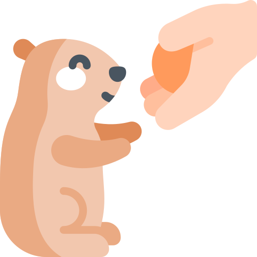 marmotte Icône gratuit