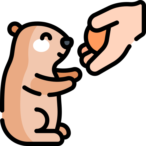 marmotte Icône gratuit