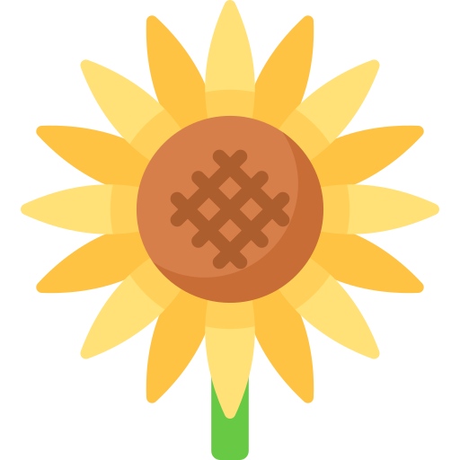Sunflower free icon