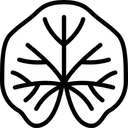 malva icono gratis malva icono gratis
