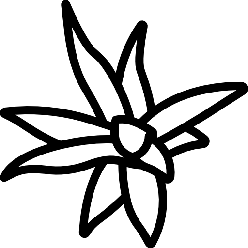 Bromeliaceae free icon