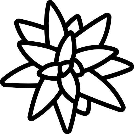 bromeliáceas icono gratis