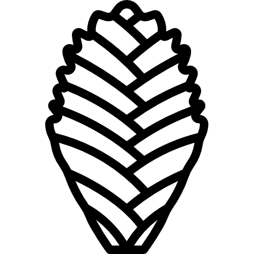 bromeliáceas icono gratis