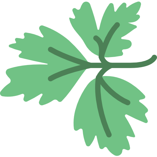 Parsley free icon