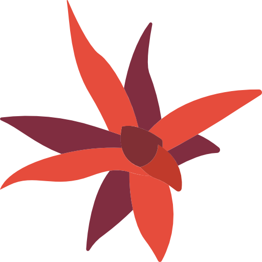 bromeliáceas icono gratis