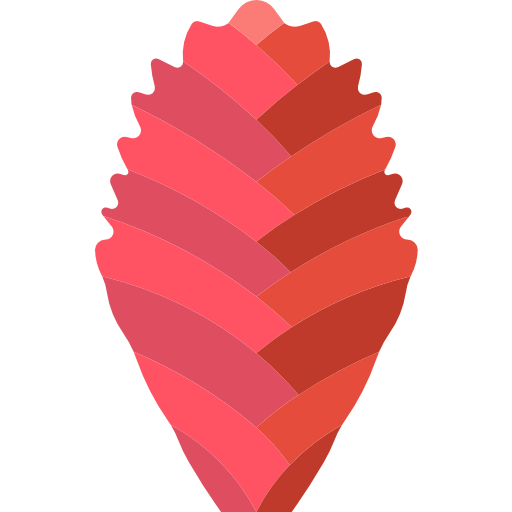 bromeliáceas icono gratis
