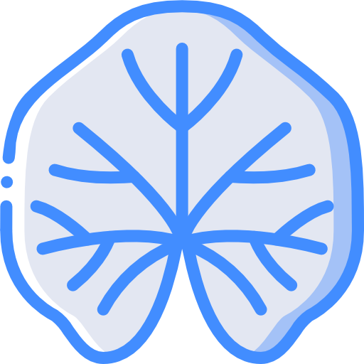 malva icono gratis malva icono gratis