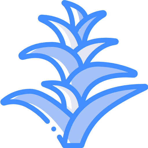 bromeliáceas icono gratis