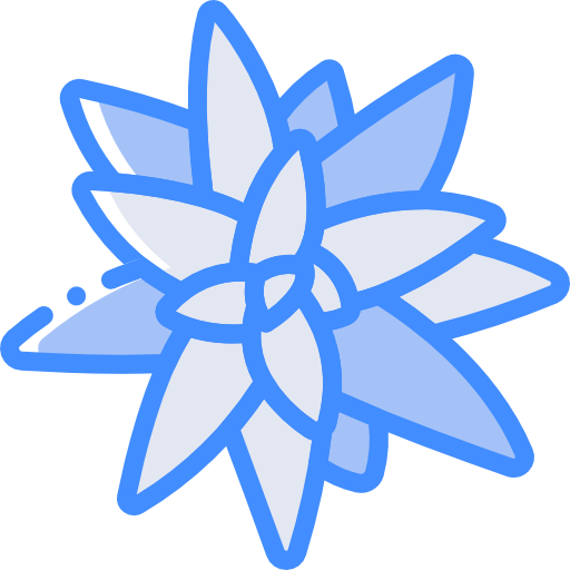 bromeliáceas icono gratis