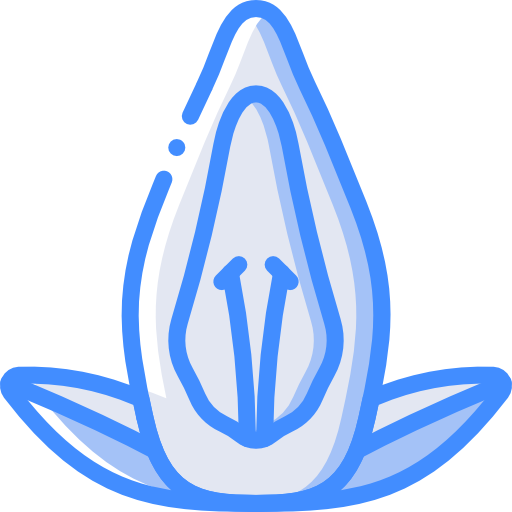 acanthaceae icono gratis