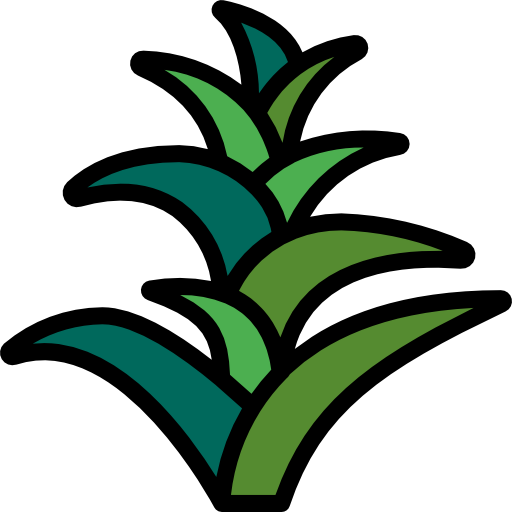Bromeliaceae free icon