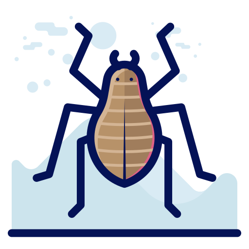 inseto grátis ícone