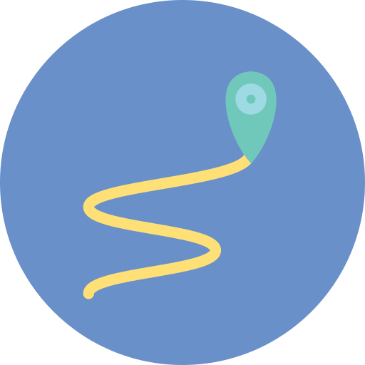 route Icône gratuit route Icône gratuit