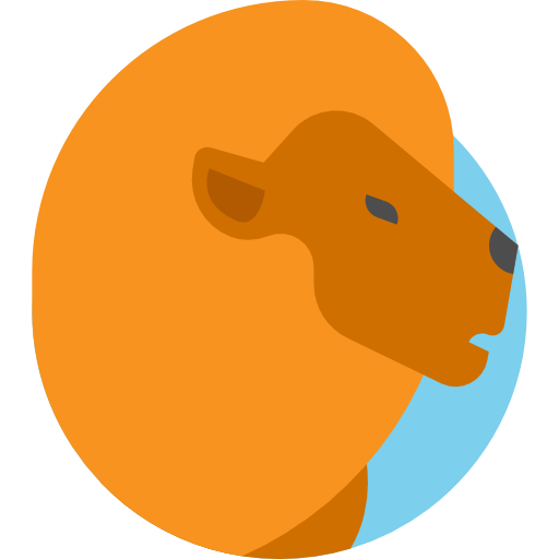 Lion free icon Lion free icon