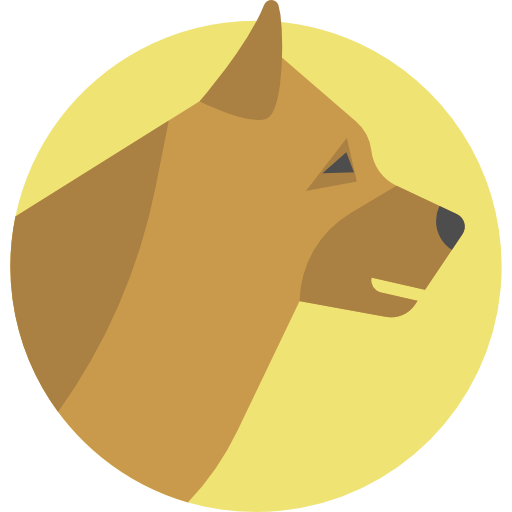 Dog free icon Dog free icon
