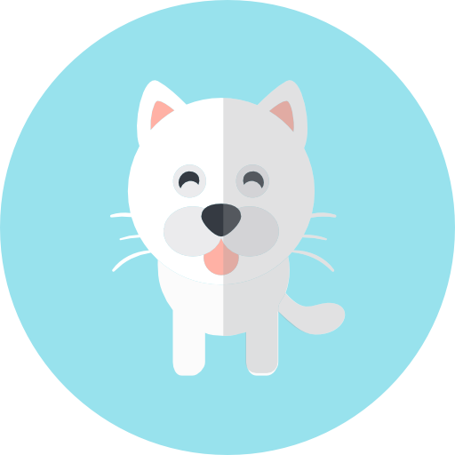 Cat Icon Images  Free Photos, PNG Stickers, Wallpapers