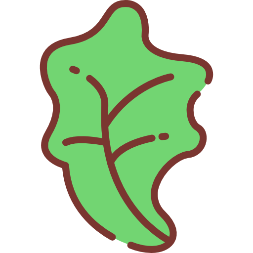 salat kostenlos Icon salat kostenlos Icon