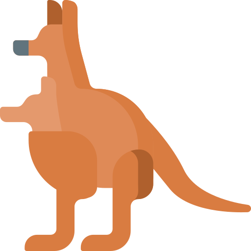 Kangaroo free icon Kangaroo free icon
