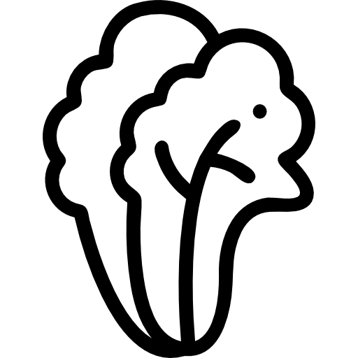 lechuga icono gratis