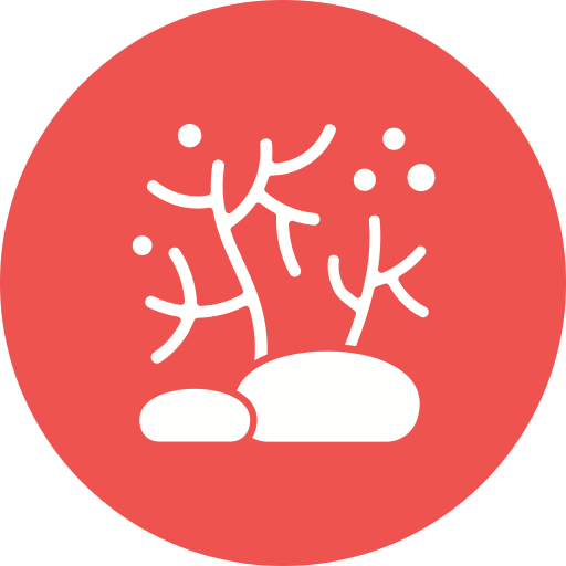 Коралл бесплатно иконка Коралл бесплатно иконка