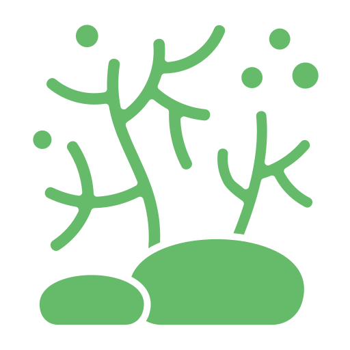 Коралл бесплатно иконка Коралл бесплатно иконка