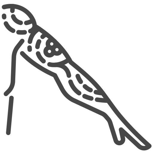 tatuaje icono gratis