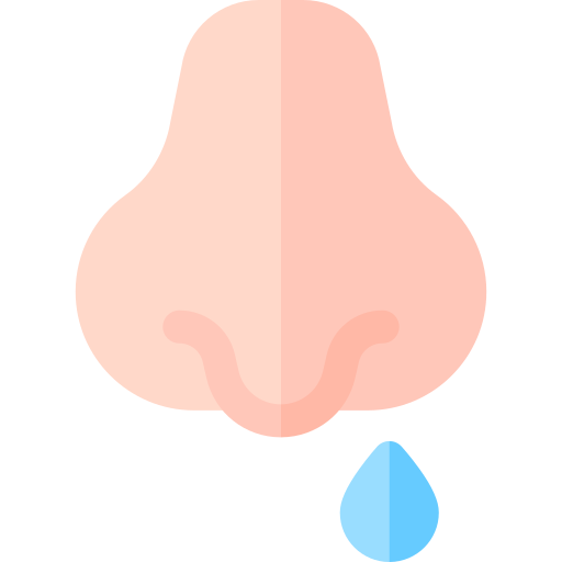 rinorrea icono gratis