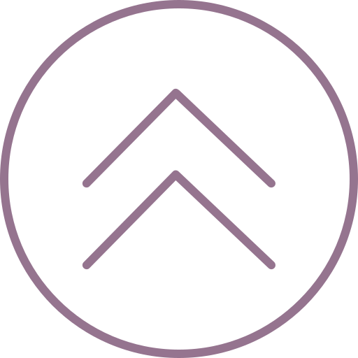 cheurón icono gratis