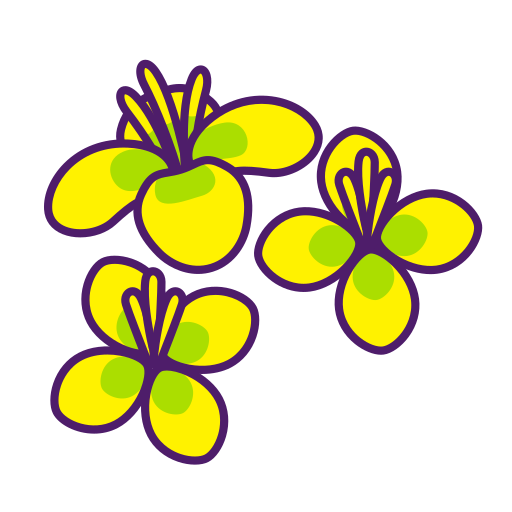 Руккола бесплатно иконка