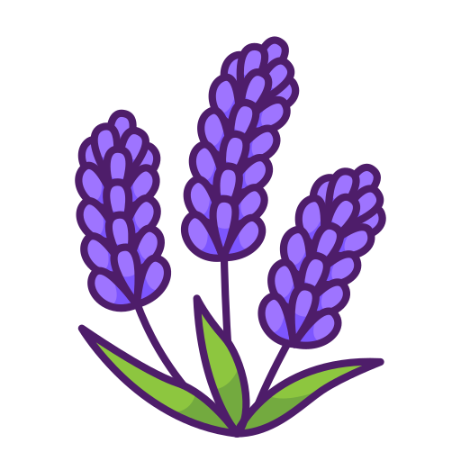 lavanda icono gratis