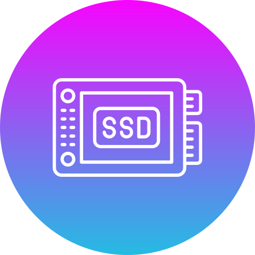 ssd Icône gratuit