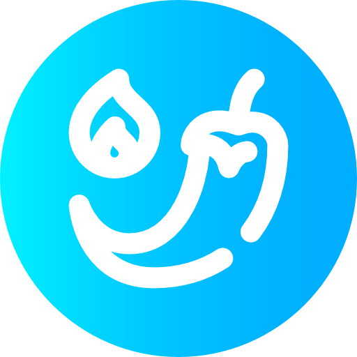 Épicé Icône gratuit Épicé Icône gratuit