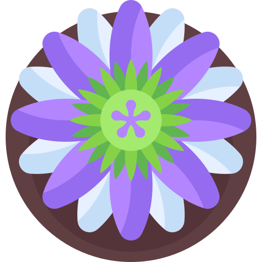 fleur de la passion Icône gratuit fleur de la passion Icône gratuit
