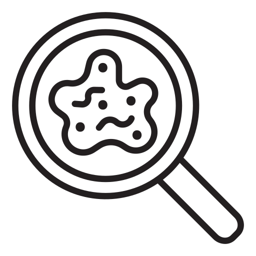 zoomen kostenlos Icon