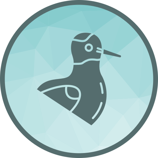 Oystercatcher free icon Oystercatcher free icon